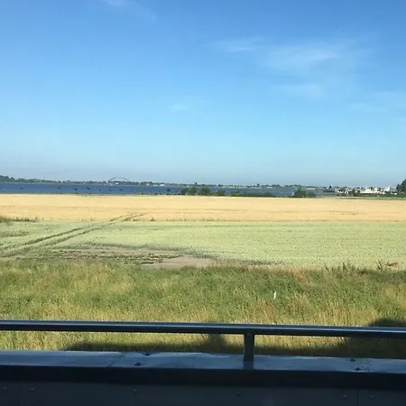 With View *